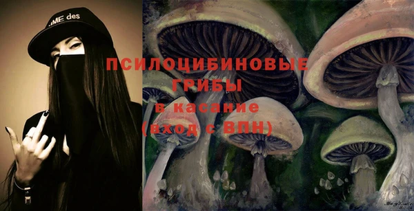 прущие грибы Рославль